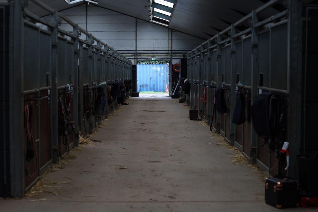 Stalgang met paardenboxen aan weerszijden en uitzicht naar buiten