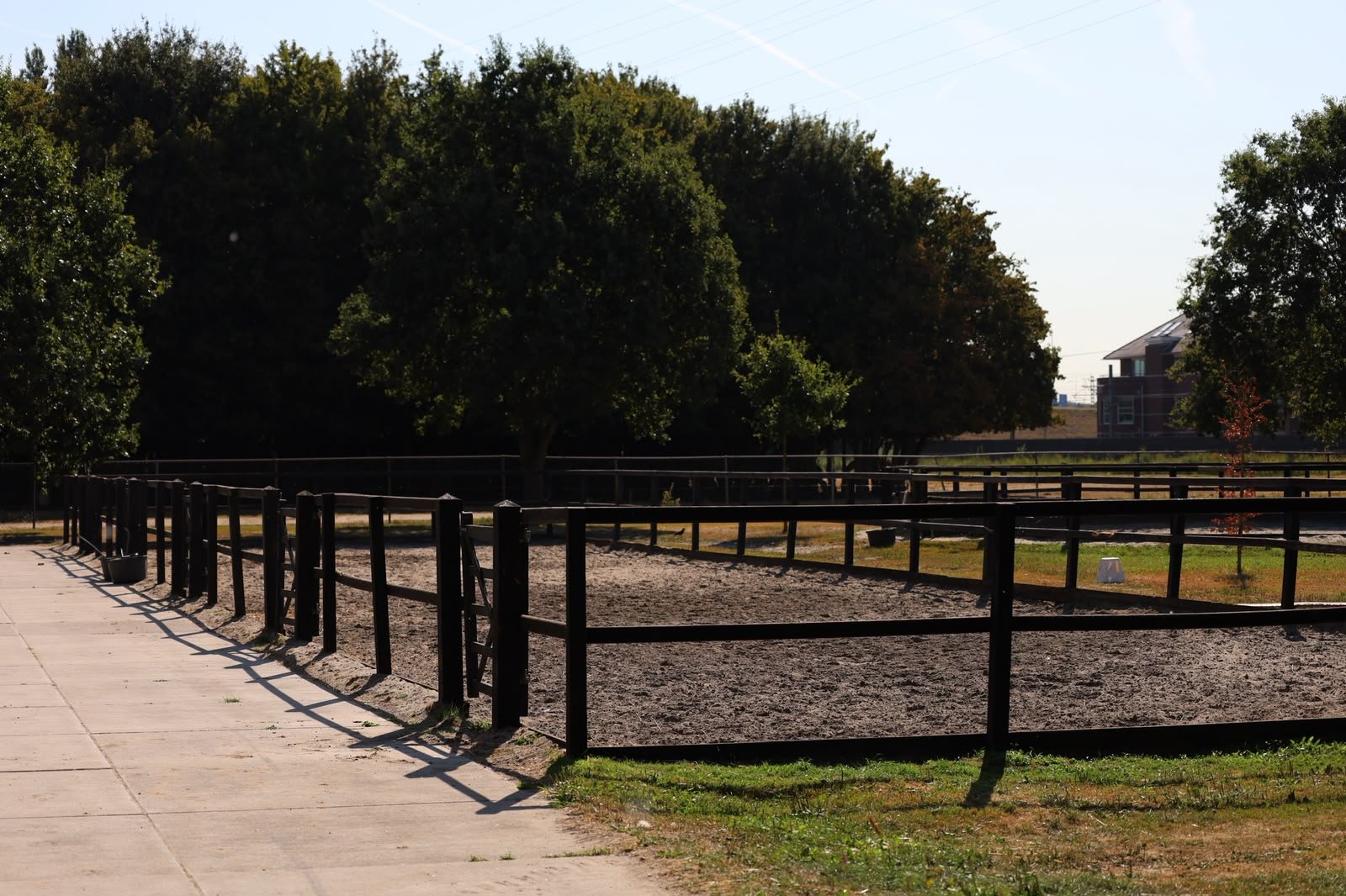 Longeercirkel op het terrein