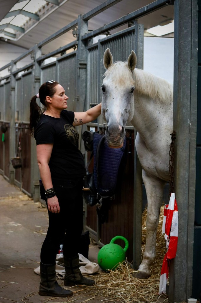 Paard in de pensionstal met zicht op het verzorgde stalpad